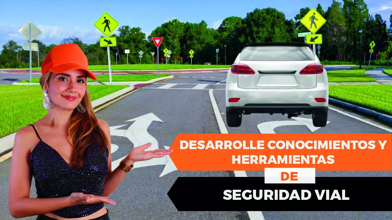 Seguridad vial