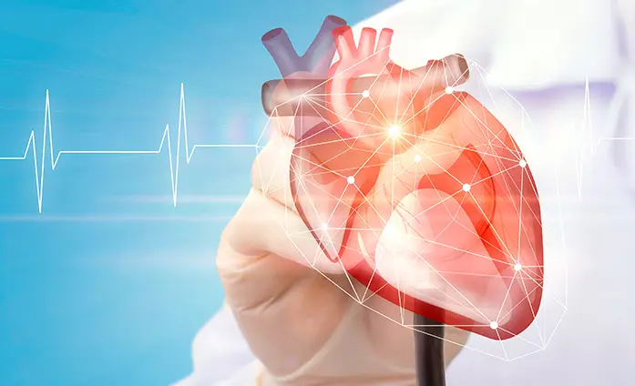 Anatomia del corazón, como realizar rcp, que es rcp