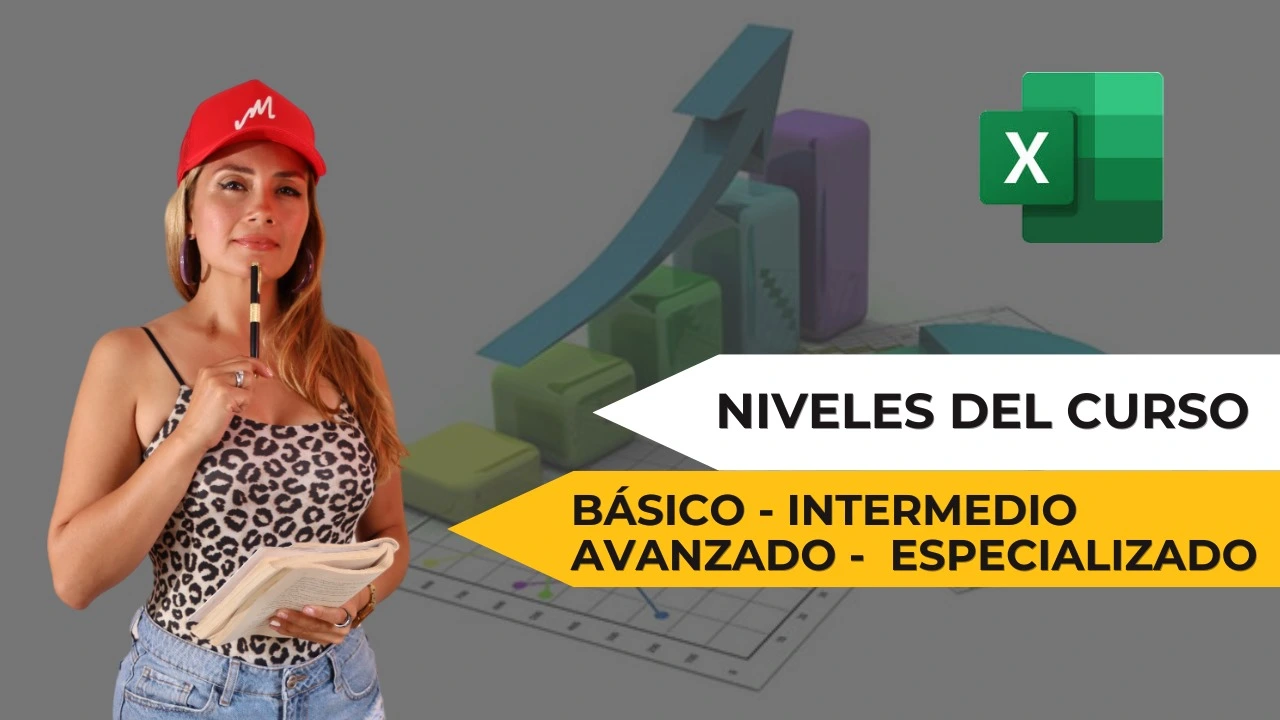 Curso de Excel online básico intermedio avanzado personalizado, curso de excel virtual, cursos de Excel personalizado